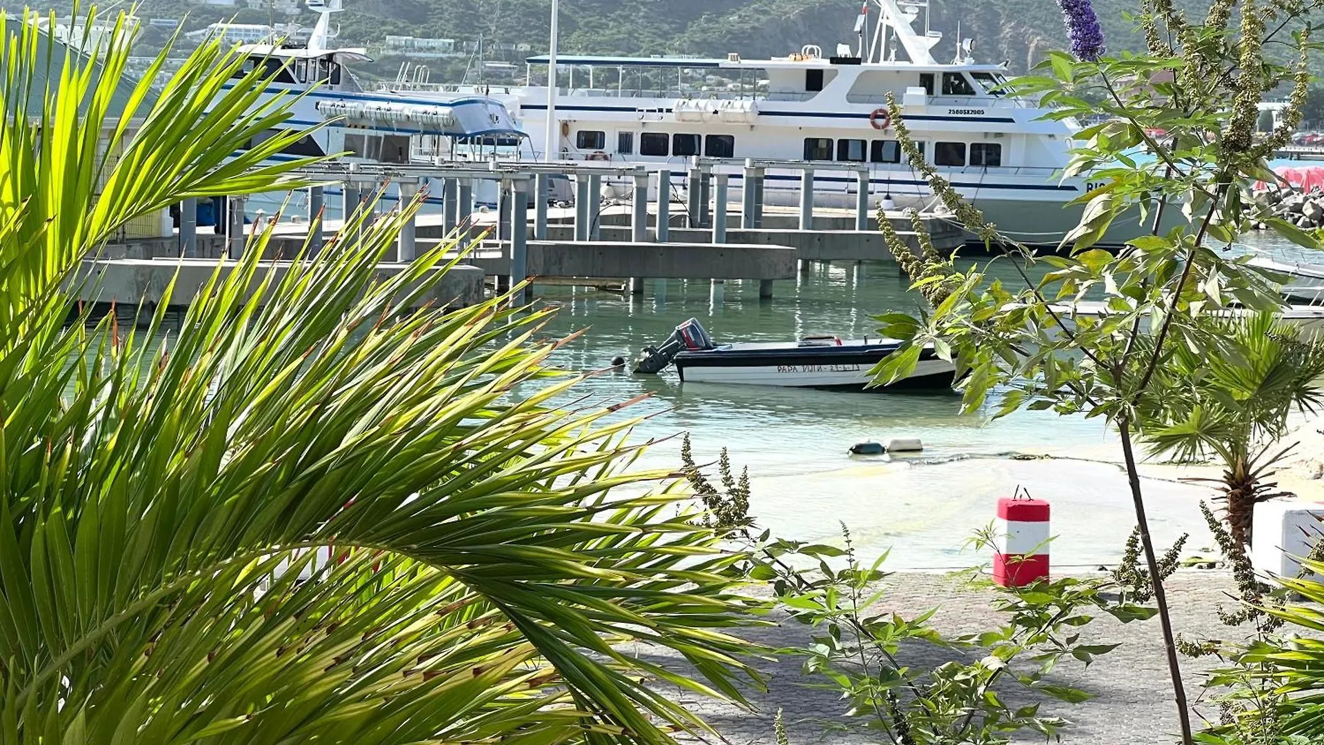 Appartement Neuf En Plein Coeur De Philipsburg contacts
